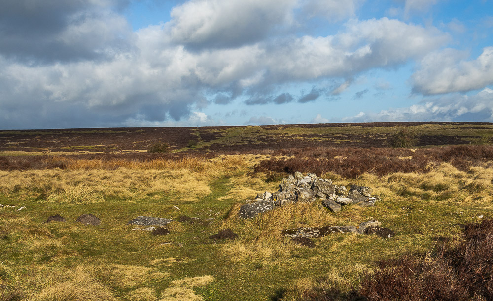 Longstone Moor Longstone Moor